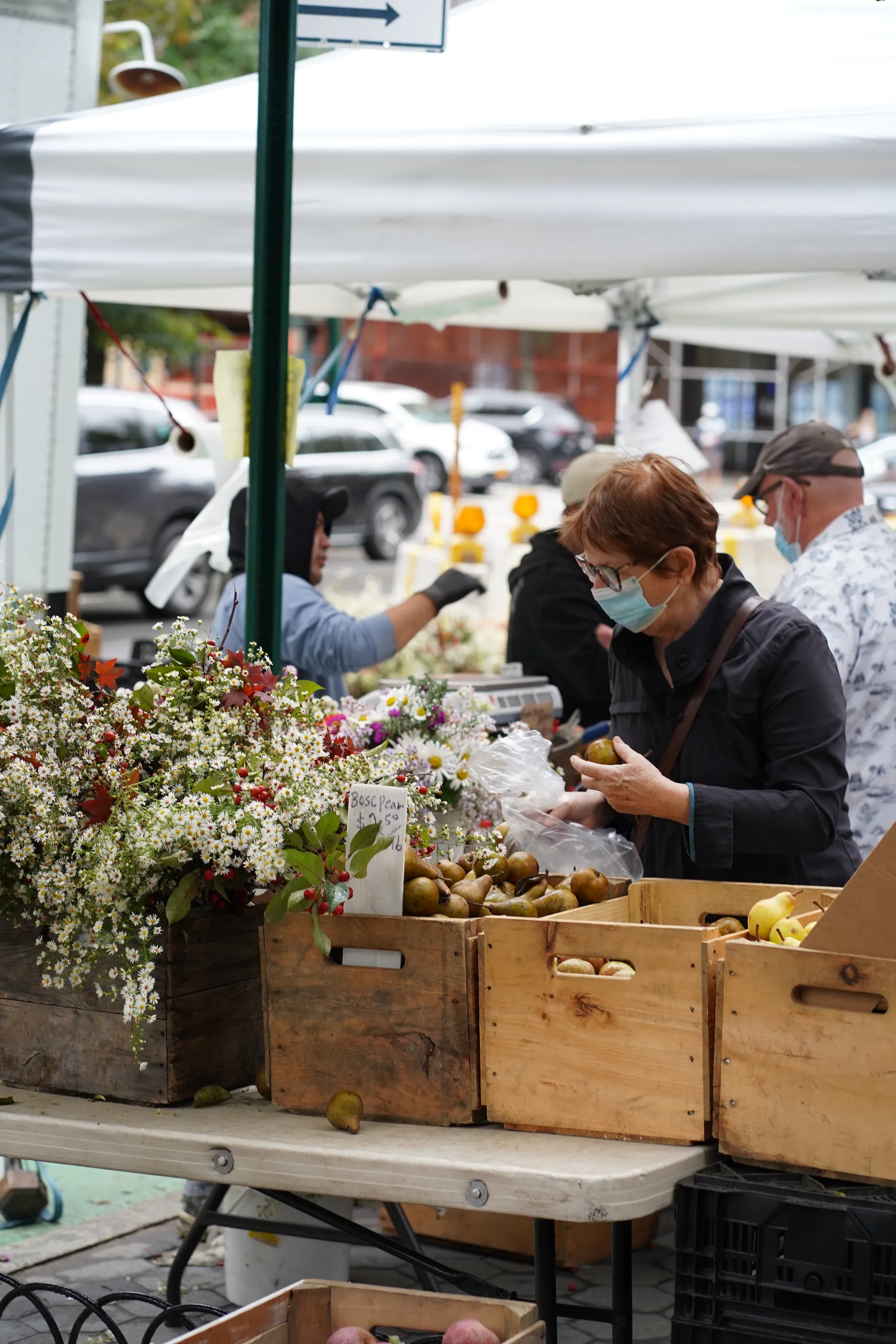 Early Fall — photo 5