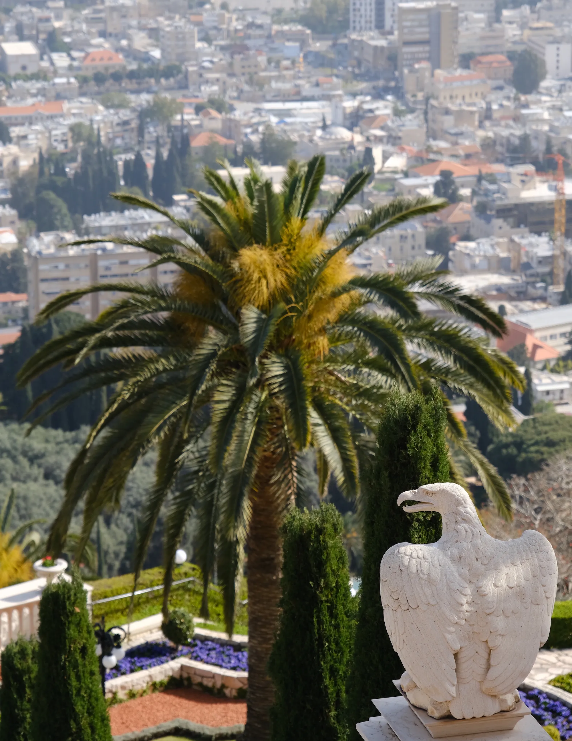Haifa — photo 4
