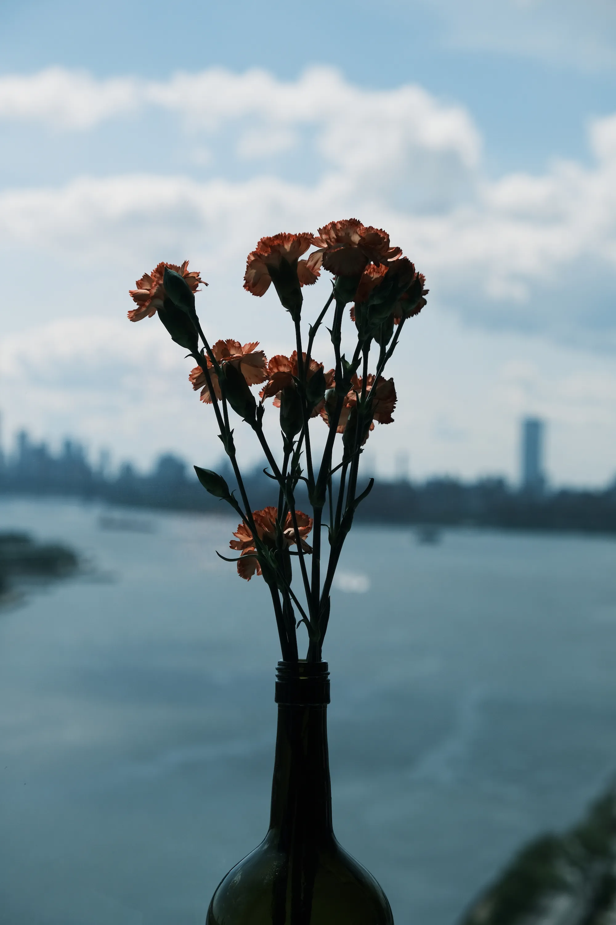 Twenty Years Later — photo 3