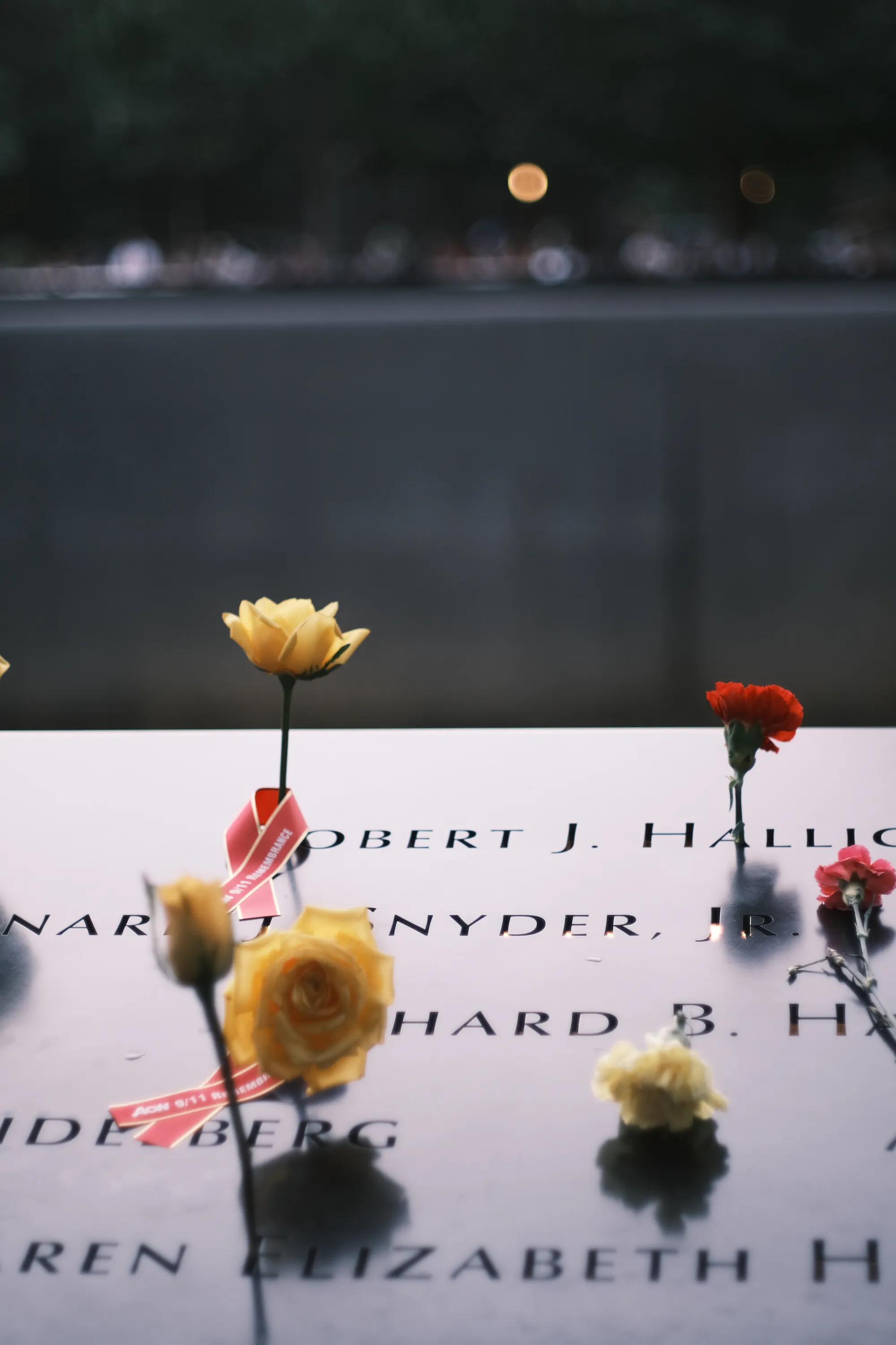 Twenty Years Later — photo 7